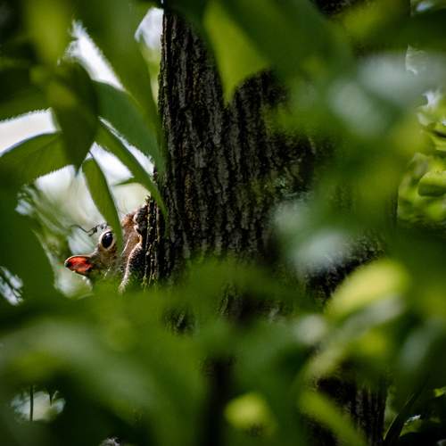Photo #13567545