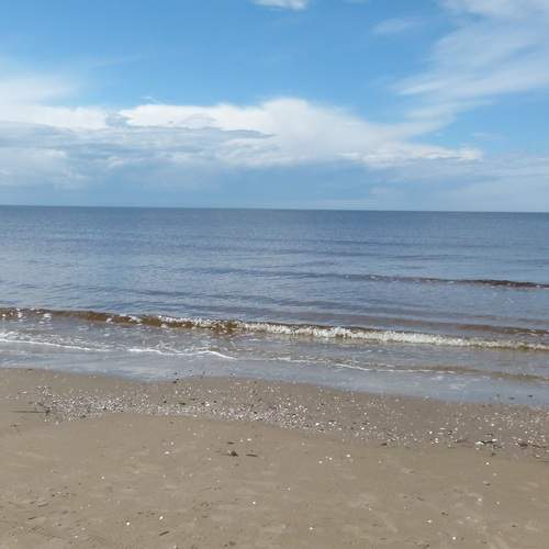 Photo #13567618