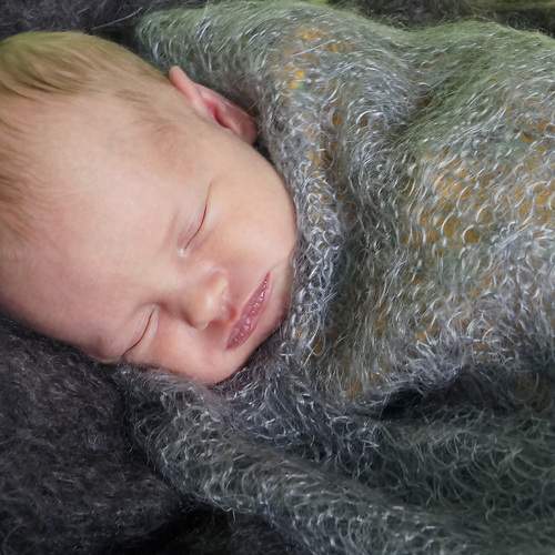 Photo #13567744