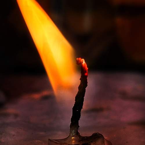 The Last Hope