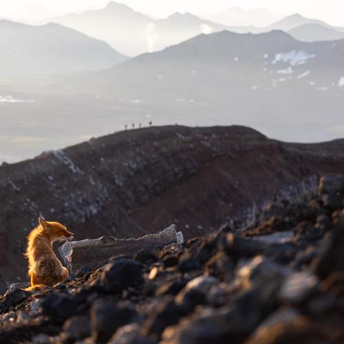 Photo #13567983