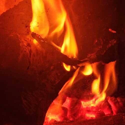 Photo #13568001