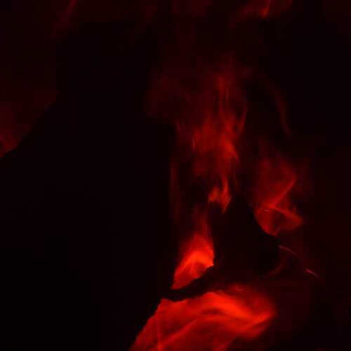 Photo #13568004