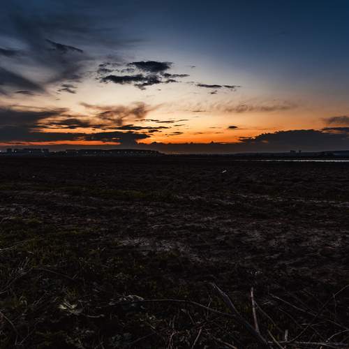Photo #13568222
