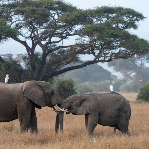 Photo #13568353