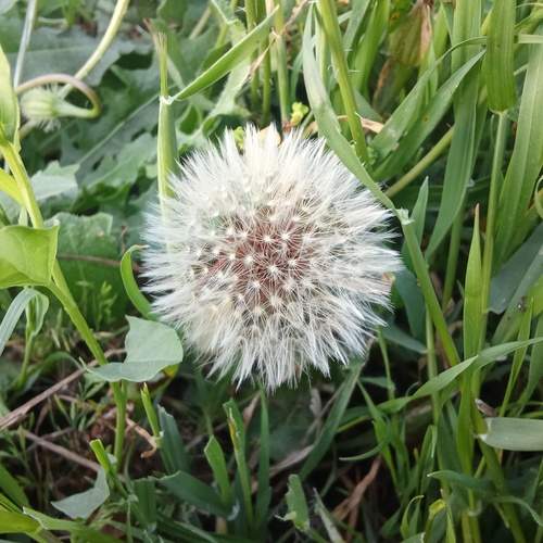 Photo #13568438