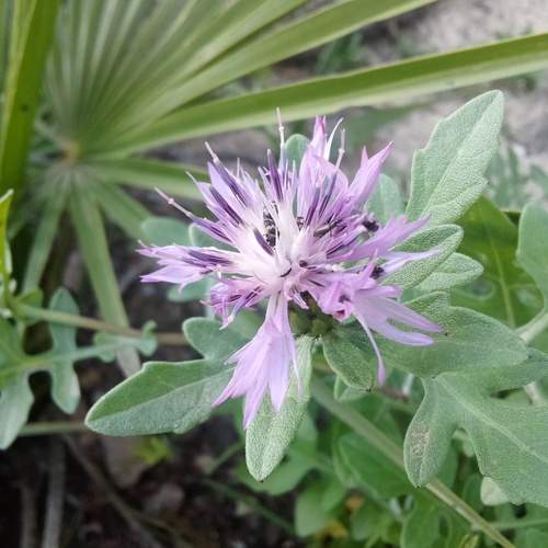 Photo #13568439