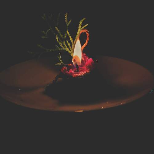 Photo #13568489