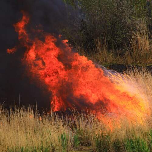 Photo #13568555