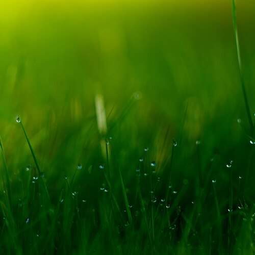 Photo #13568557