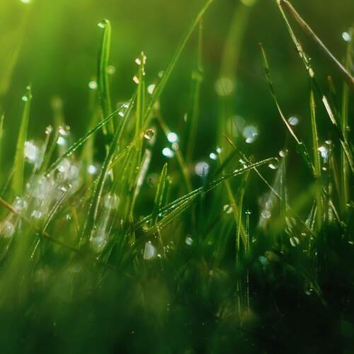 Photo #13568558