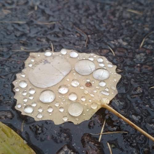 Photo #13568830