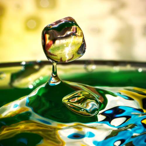 Photo #13568880