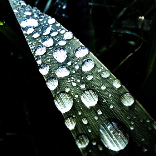 Photo #13568914