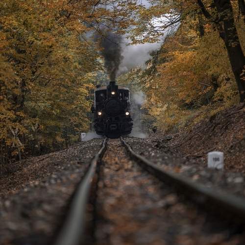 Photo #13568961
