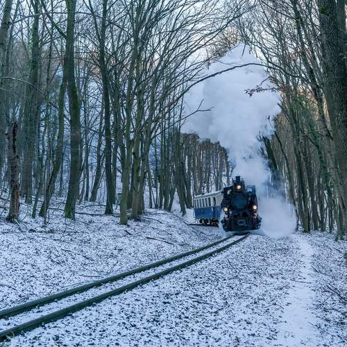 Photo #13568962