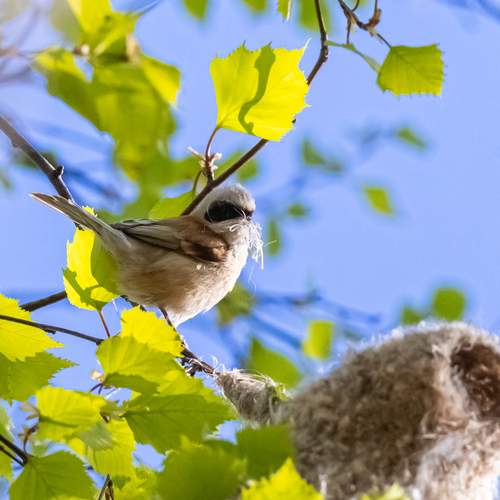 Photo #13569286