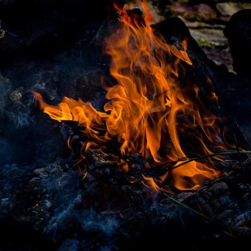 Photo #13569400