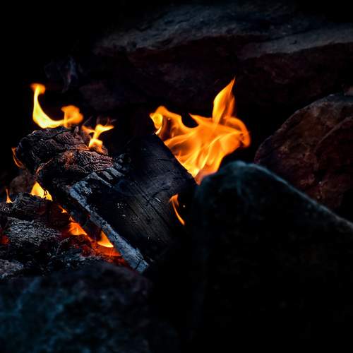 Photo #13569401
