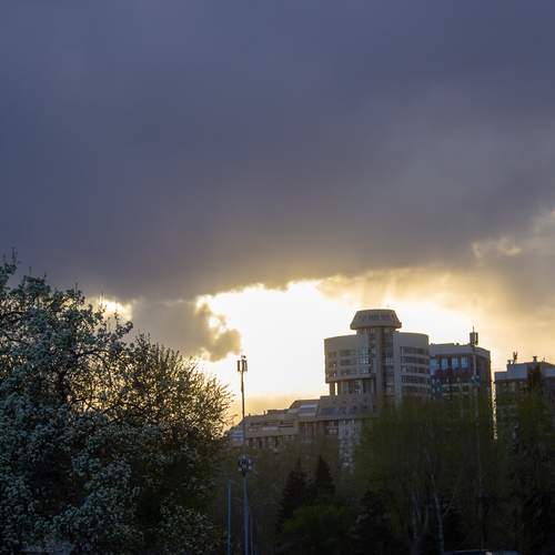 Photo #13569432