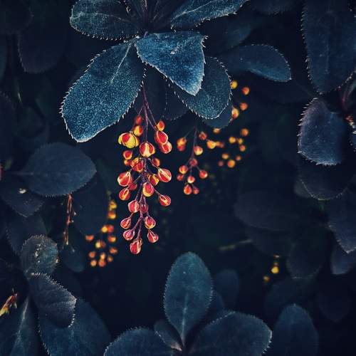 Photo #13569750