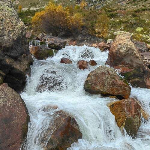 Photo #13569808
