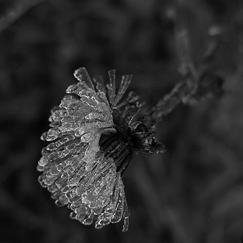 Photo #13569824