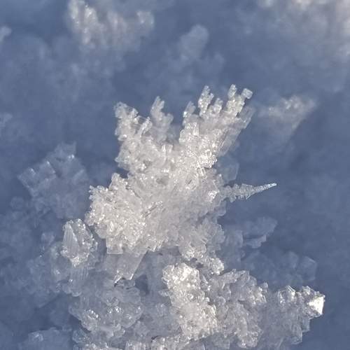 Photo #13569832