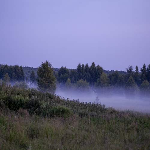 Photo #13569857