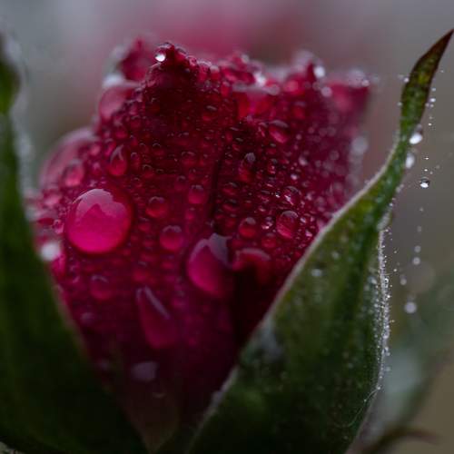 Photo #13570143