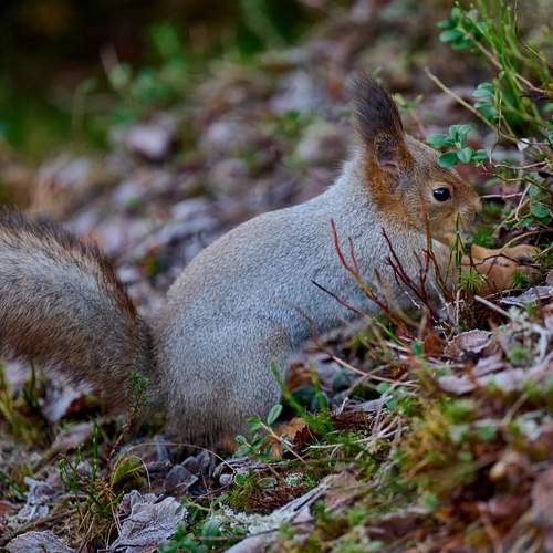Photo #13570269