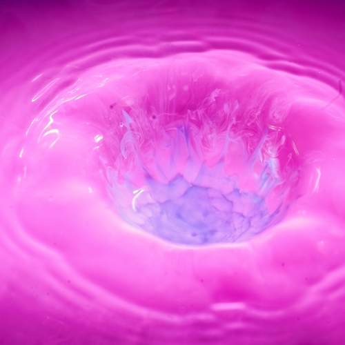 Photo #13570442