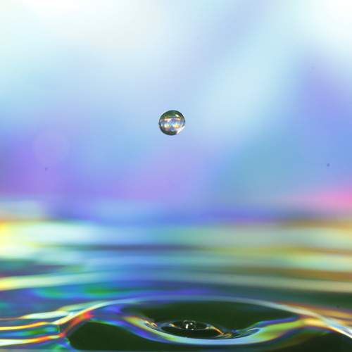 Photo #13570444