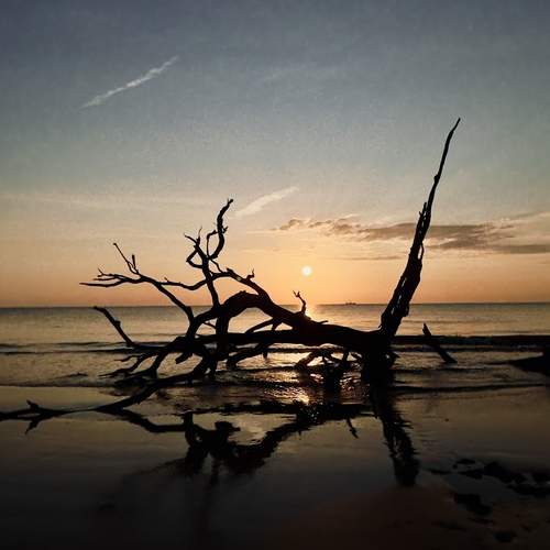 Photo #13570542