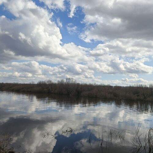 Photo #13570599