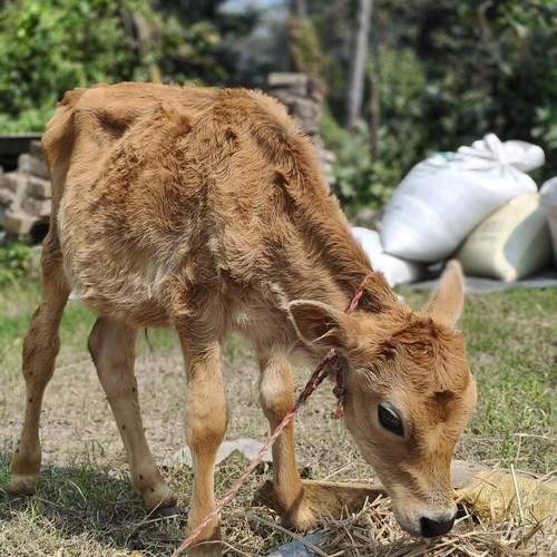 Photo #13570609