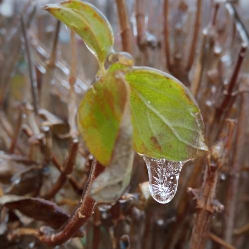 Photo #13570610