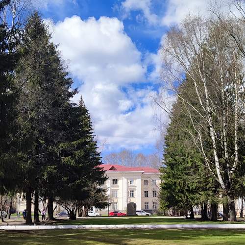 Photo #13570739
