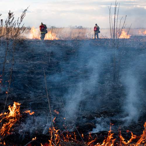 Photo #13570767