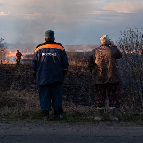 Photo #13570771