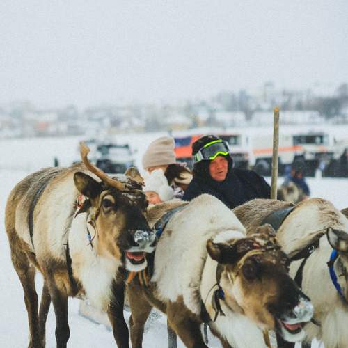 Photo #13570834
