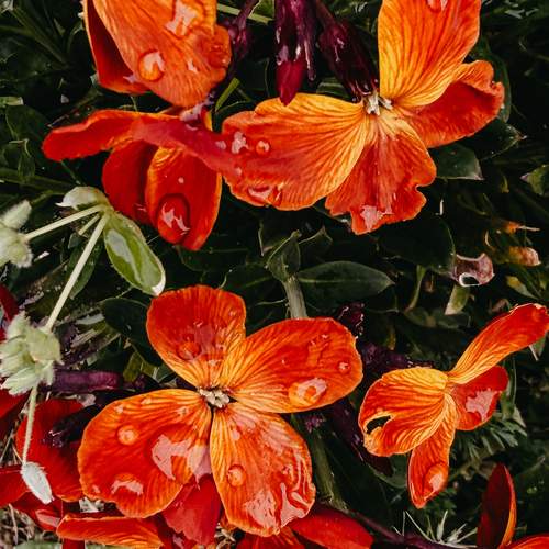 Photo #13570853