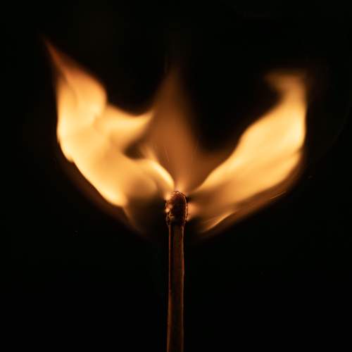 Photo #13570870