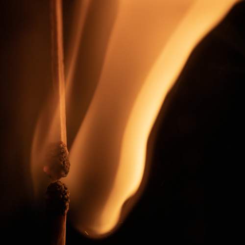 Photo #13570871