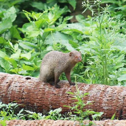 Photo #13570876