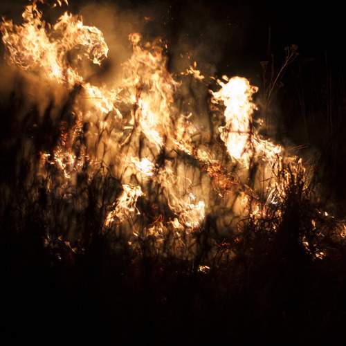 Photo #13570883