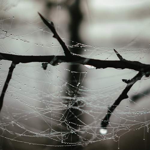 Photo #13570955