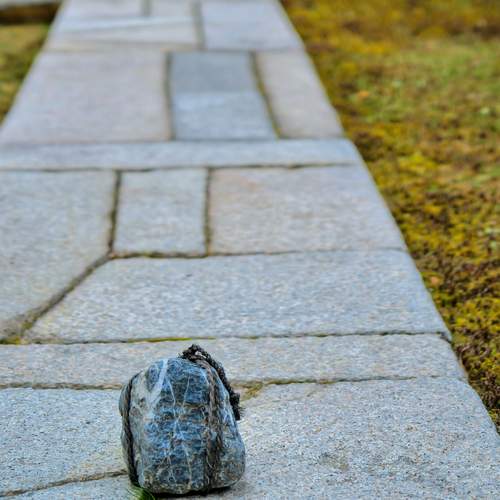 One Stone\'s Will