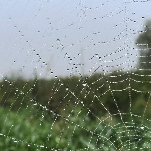 Photo #13571115