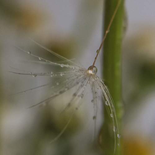 Photo #13571116